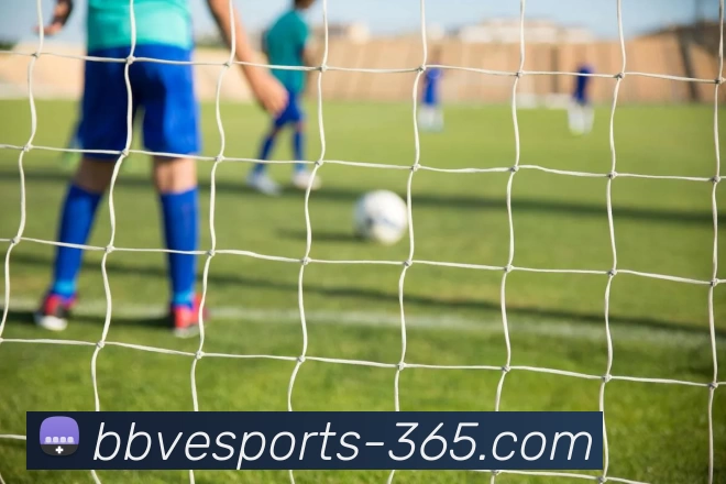 BBV电竞365全站App